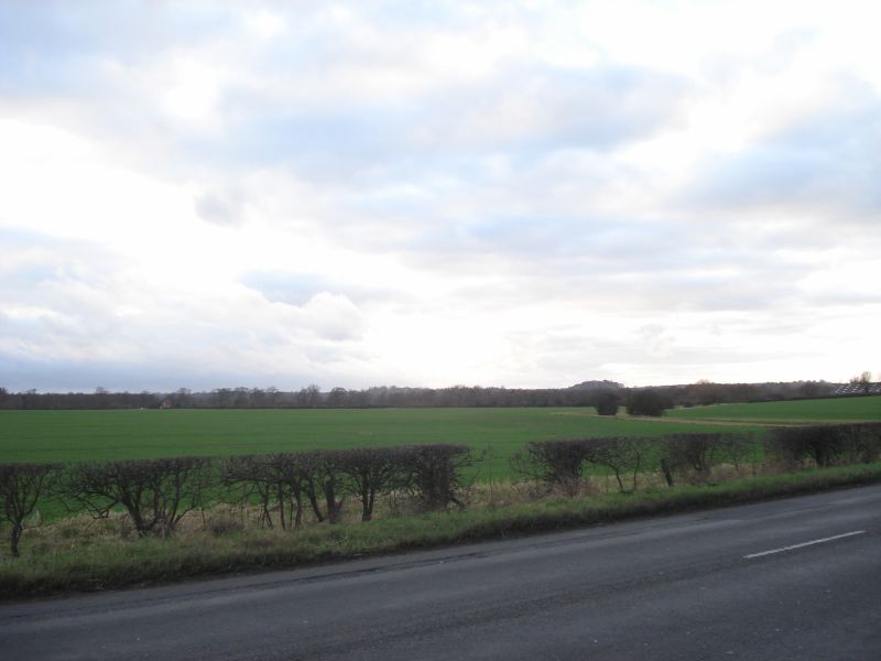 Viewing photos→2011→2011-02-06→075