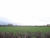 079.jpg - 2011:02:06 16:36:02