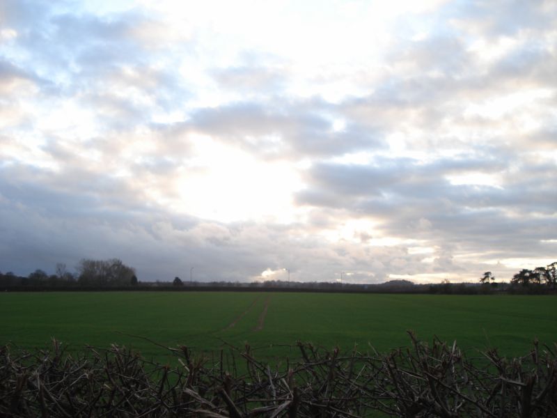 Viewing photos→2011→2011-02-06→080