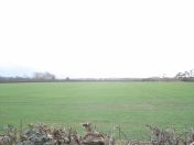 081.jpg - 2011:02:06 16:36:46