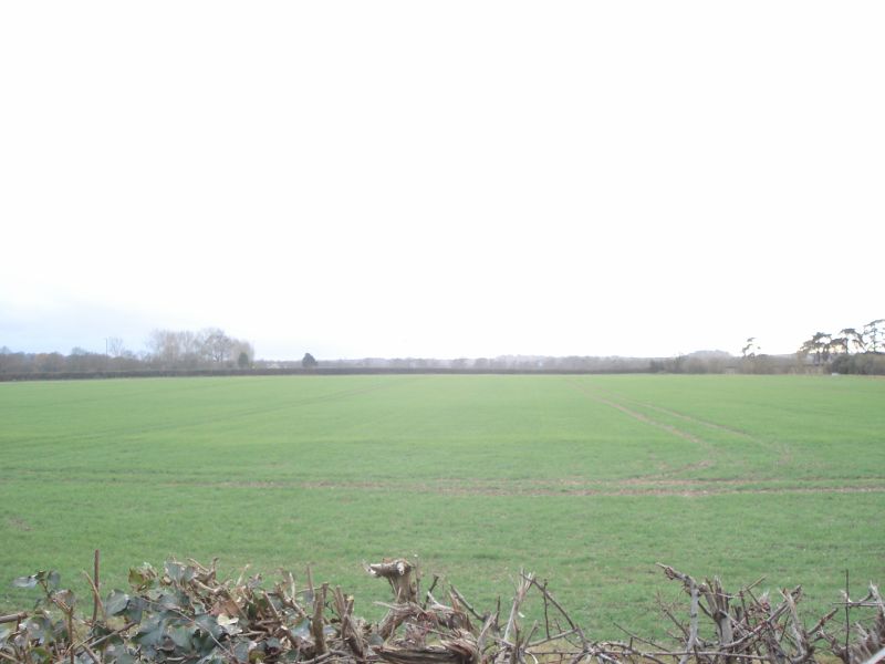 Viewing photos→2011→2011-02-06→081