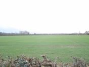 083.jpg - 2011:02:06 16:37:02