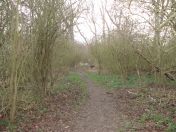 090.jpg - 2011:02:06 16:47:29