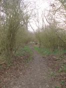 091.jpg - 2011:02:06 16:47:34