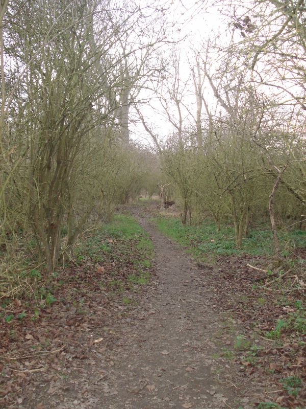 Viewing photos→2011→2011-02-06→091