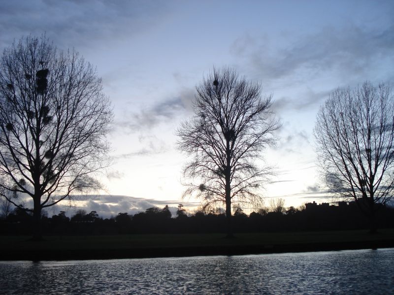 Viewing photos→2011→2011-02-06→094