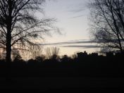 098.jpg - 2011:02:06 17:14:59