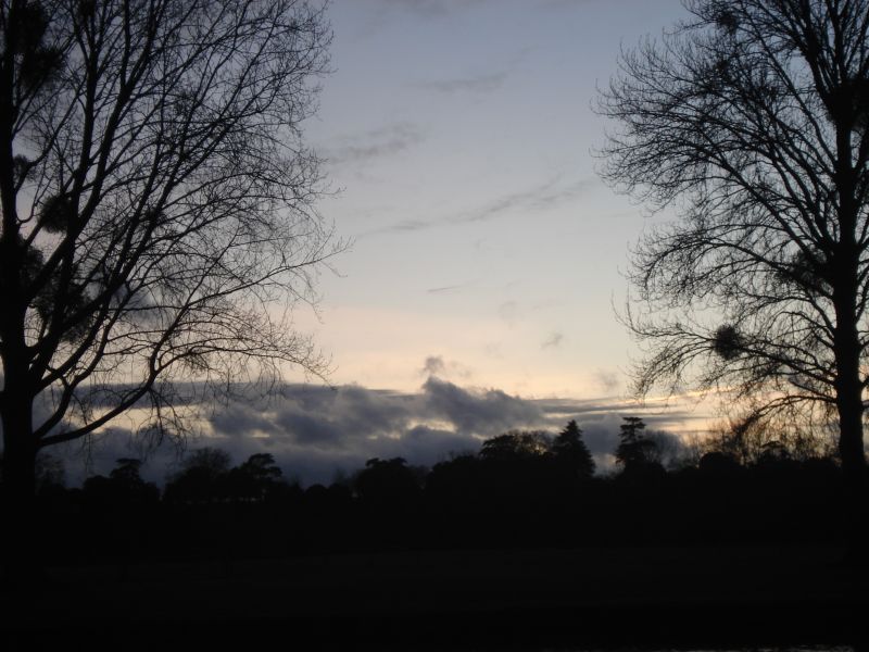 Viewing photos→2011→2011-02-06→099