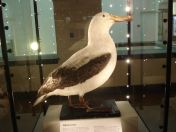 08.jpg - 2011:02:12 15:22:39