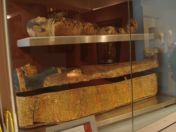 23.jpg - 2011:02:12 15:59:21