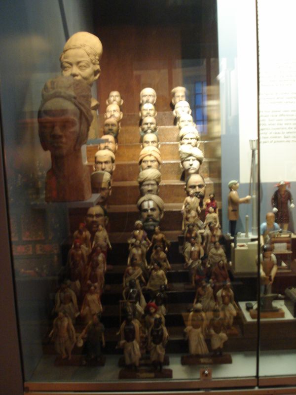 Viewing photos→2011→2011-02-12→45