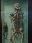 49.jpg - 2011:02:12 16:59:50