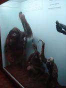 50.jpg - 2011:02:12 17:00:42