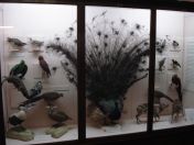 51.jpg - 2011:02:12 17:05:37