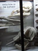 52.jpg - 2011:02:12 17:06:42