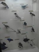 53.jpg - 2011:02:12 17:07:53