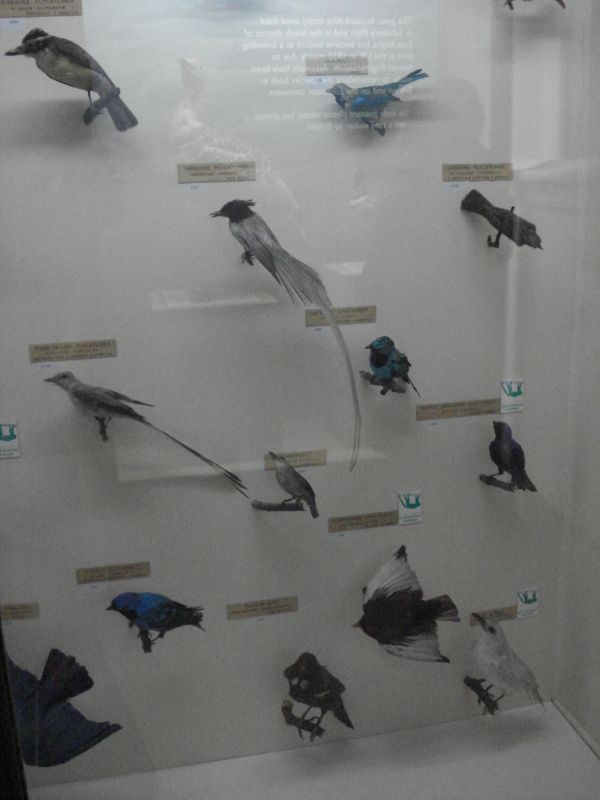 Viewing photos→2011→2011-02-12→53