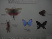 55.jpg - 2011:02:12 17:08:48