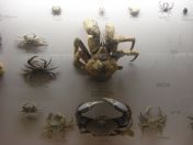 56.jpg - 2011:02:12 17:21:57