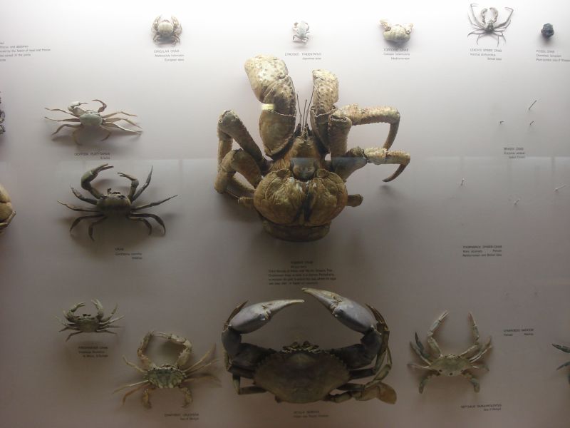 Viewing photos→2011→2011-02-12→56