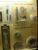 57.jpg - 2011:02:12 17:25:00