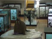 58.jpg - 2011:02:12 17:25:24