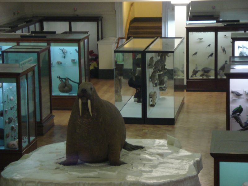 Viewing photos→2011→2011-02-12→58