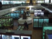 59.jpg - 2011:02:12 17:25:58