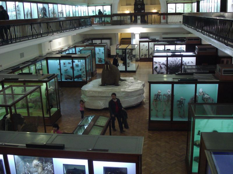 Viewing photos→2011→2011-02-12→59