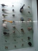 60.jpg - 2011:02:12 17:27:29