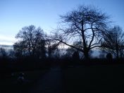 62.jpg - 2011:02:12 17:33:01