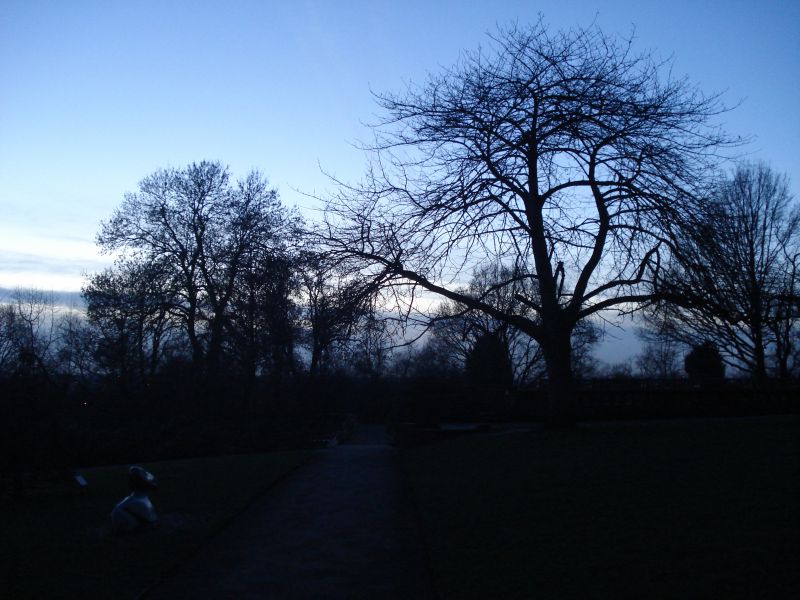 Viewing photos→2011→2011-02-12→62