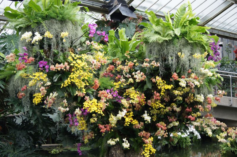 Viewing photos→2011→2011-02-15→03