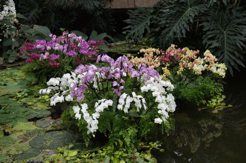 Viewing photos→2011→2011-02-15→04