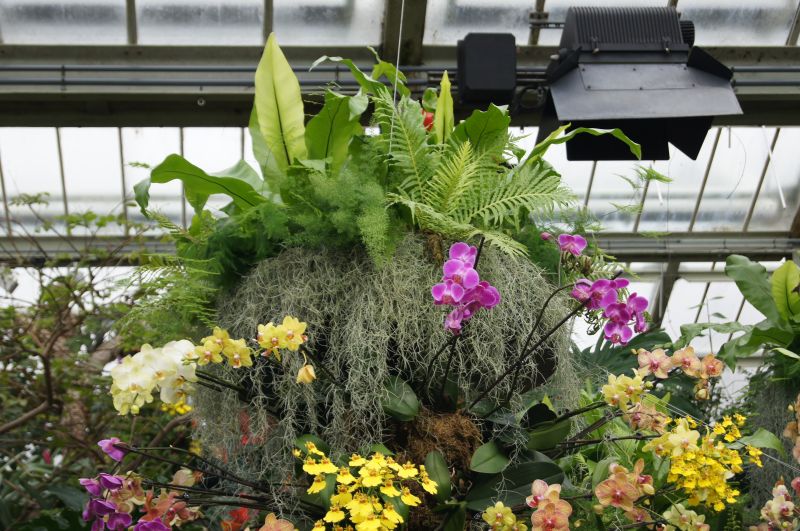 Viewing photos→2011→2011-02-15→05