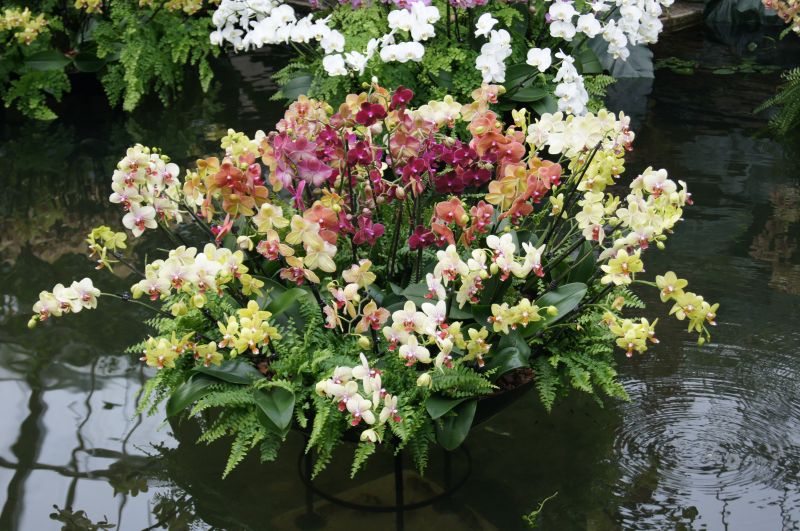 Viewing photos→2011→2011-02-15→08