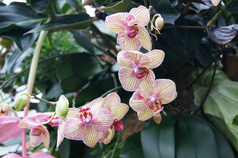 Viewing photos→2011→2011-02-15→11