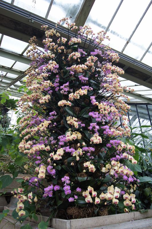 Viewing photos→2011→2011-02-15→14