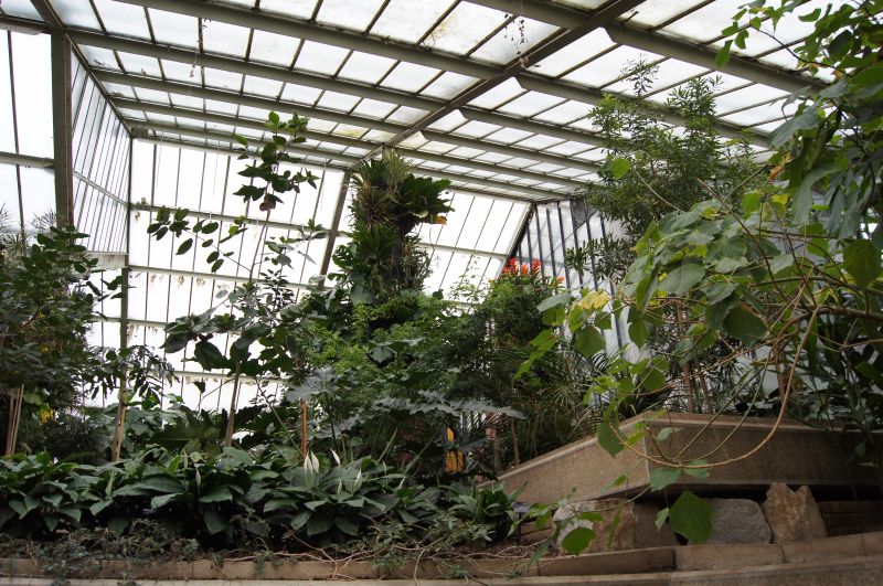 Viewing photos→2011→2011-02-15→15