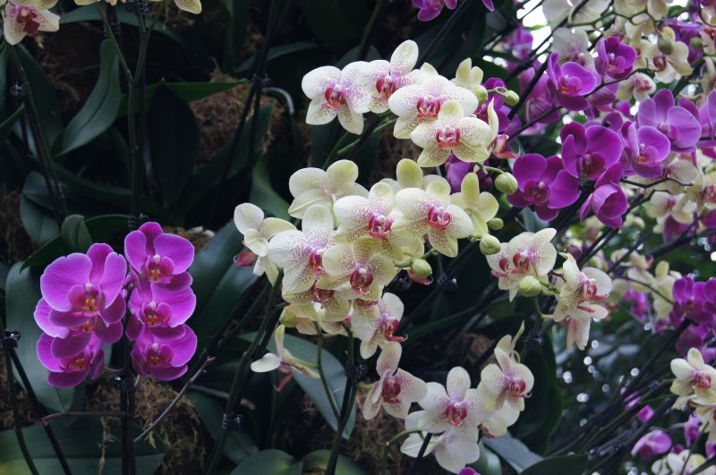 Viewing photos→2011→2011-02-15→17