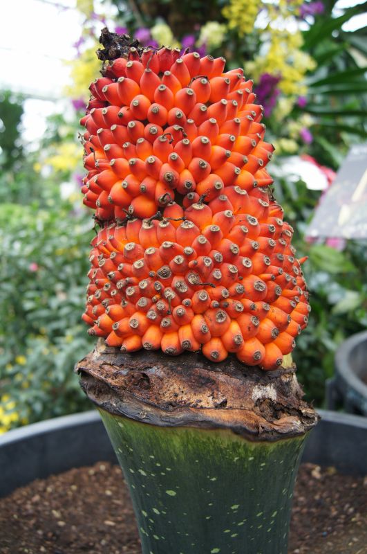 Viewing photos→2011→2011-02-15→21