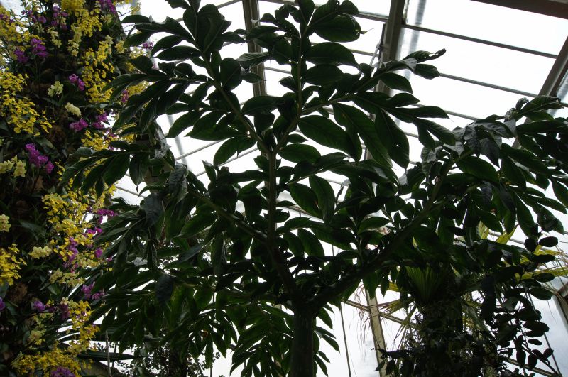 Viewing photos→2011→2011-02-15→22