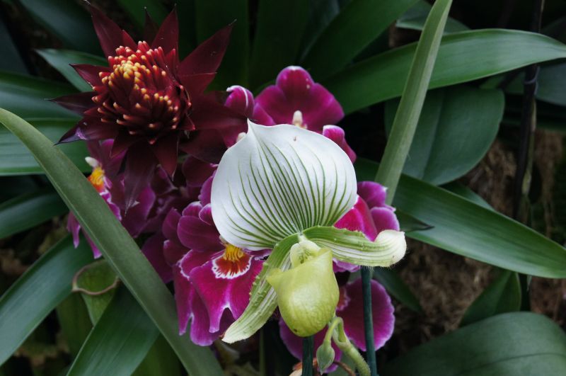 Viewing photos→2011→2011-02-15→24