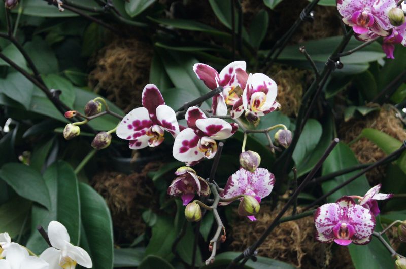 Viewing photos→2011→2011-02-15→28