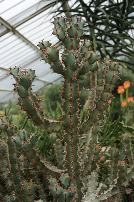 Viewing photos→2011→2011-02-15→35