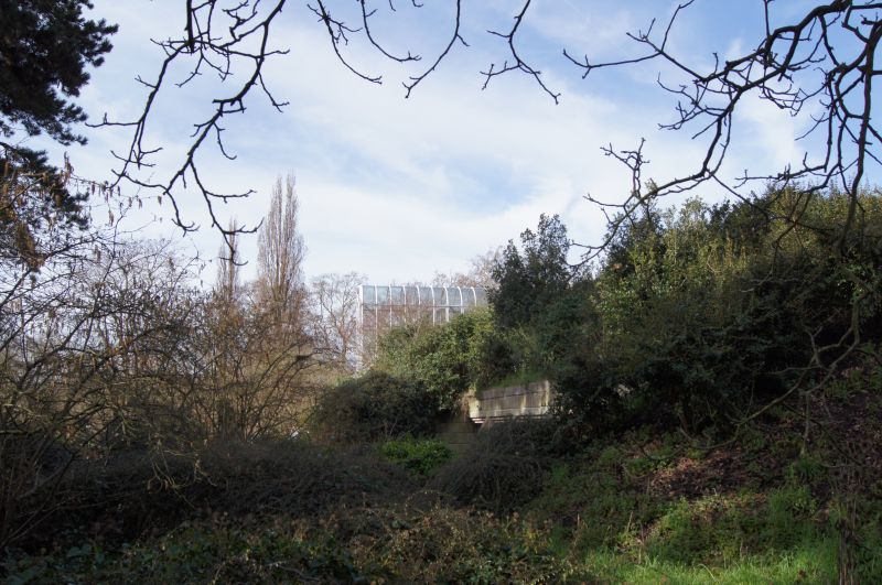 Viewing photos→2011→2011-02-24→03