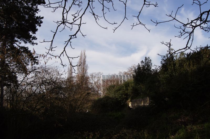 Viewing photos→2011→2011-02-24→05