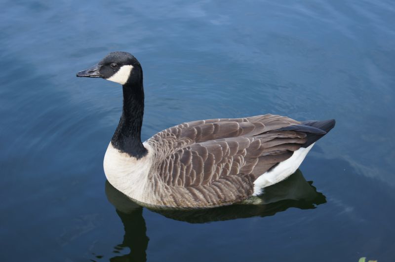 Viewing photos→2011→2011-02-24→08