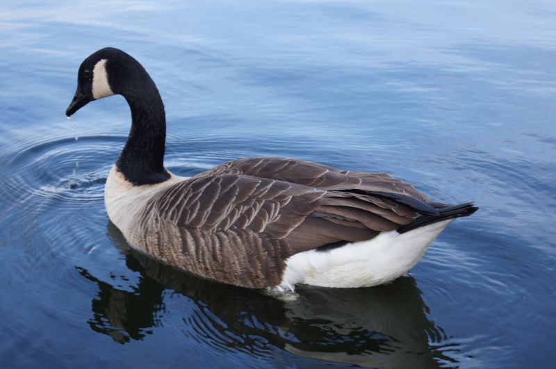 Viewing photos→2011→2011-02-24→09