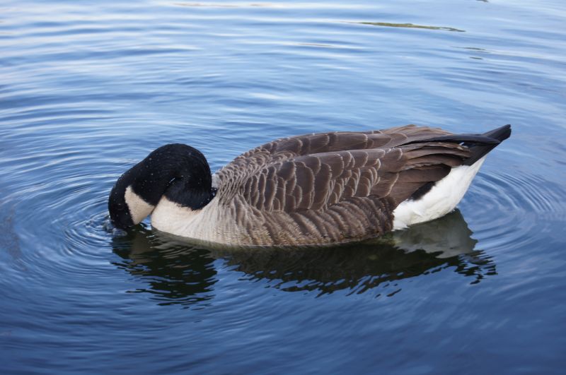 Viewing photos→2011→2011-02-24→10